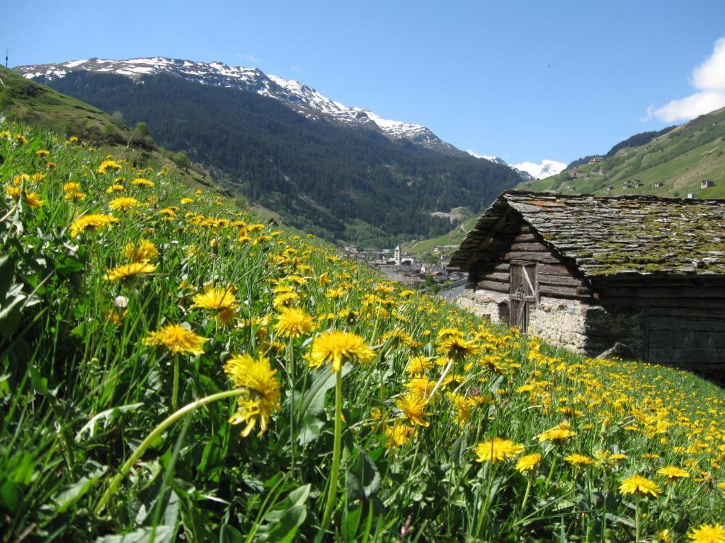Ferienwohnung Mura Vals Exteriör bild