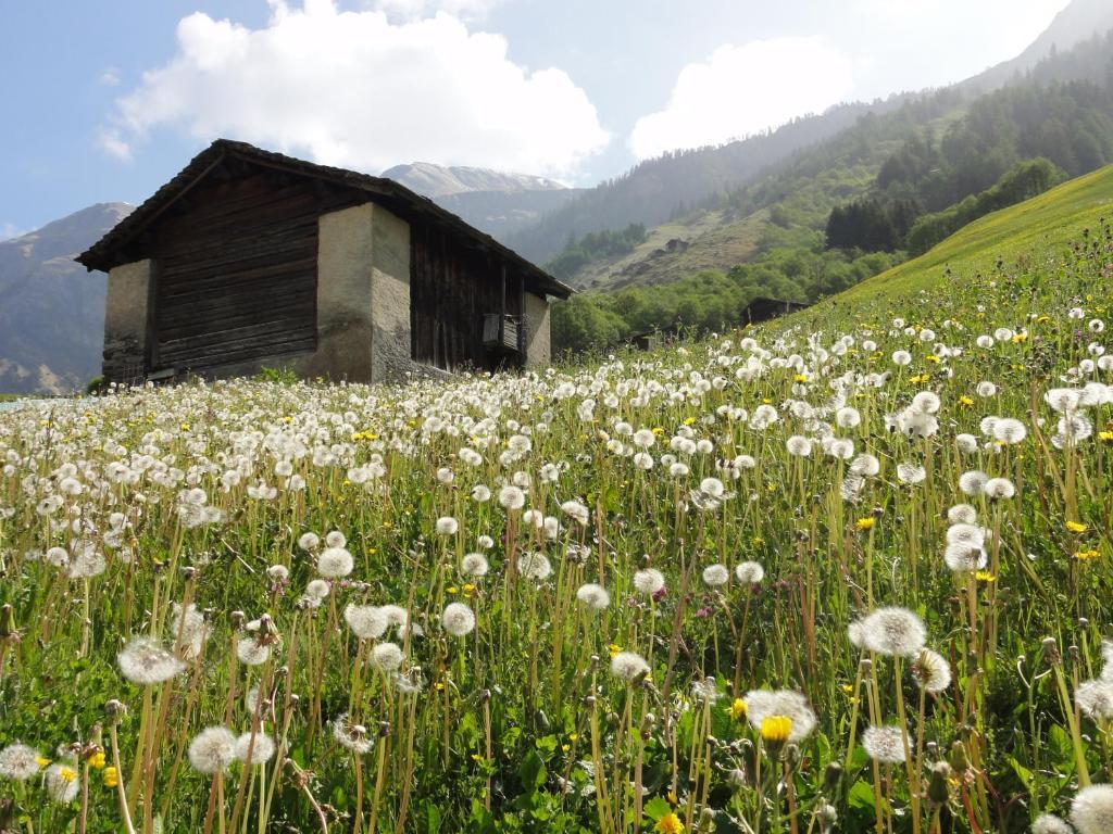 Ferienwohnung Mura Vals Exteriör bild